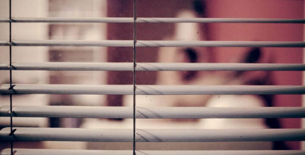stalking-header